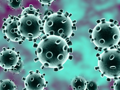 Update from FuseFX regarding coronavirus preparedness